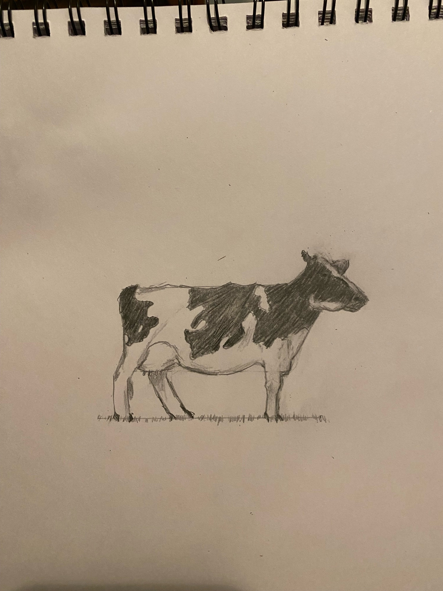 cow