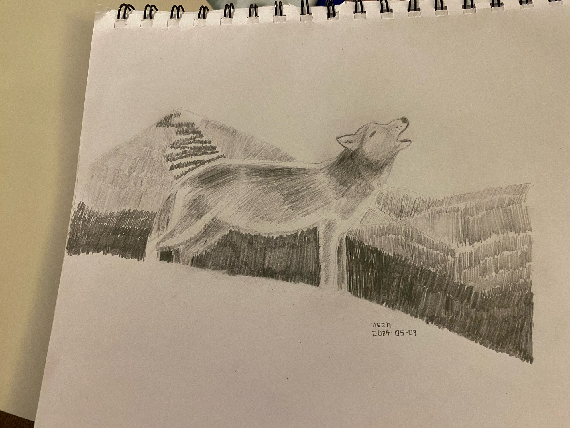 wolf